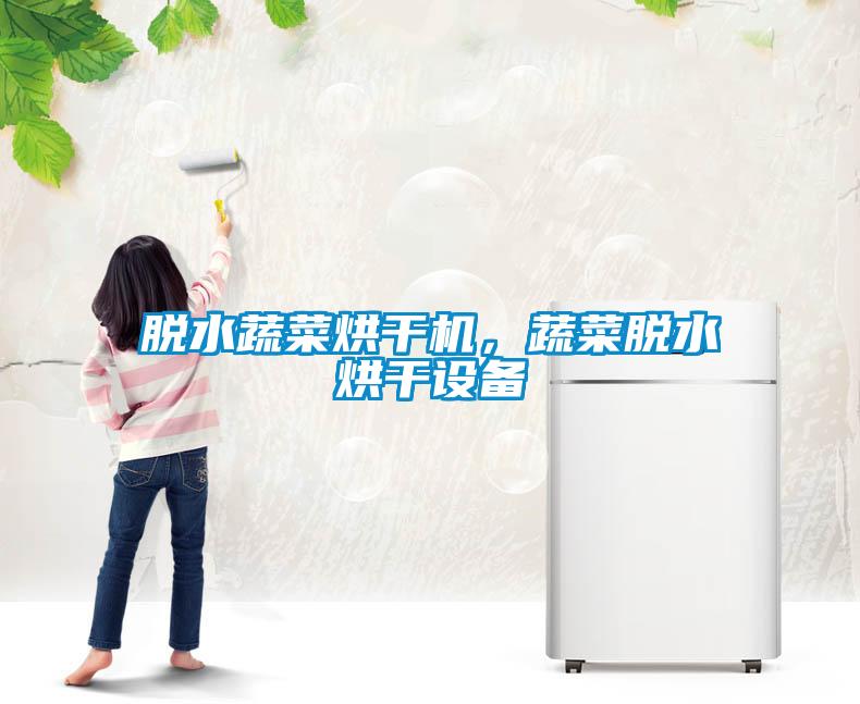 脫水蔬菜烘干機，蔬菜脫水烘干設備