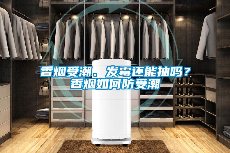 香煙受潮、發霉還能抽嗎?香煙如何防受潮