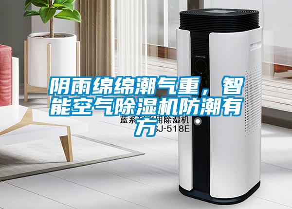 陰雨綿綿潮氣重，智能空氣除濕機防潮有方
