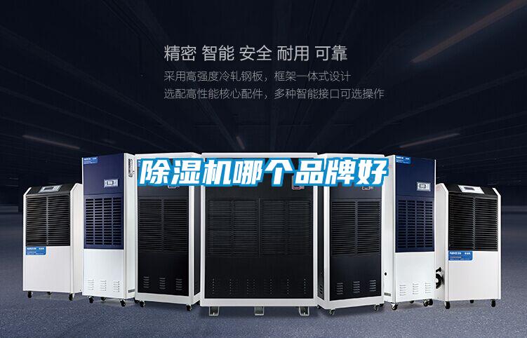 除濕機(jī)哪個品牌好