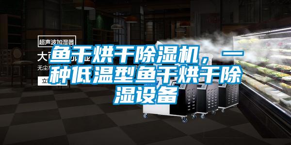 魚干烘干除濕機，一種低溫型魚干烘干除濕設備