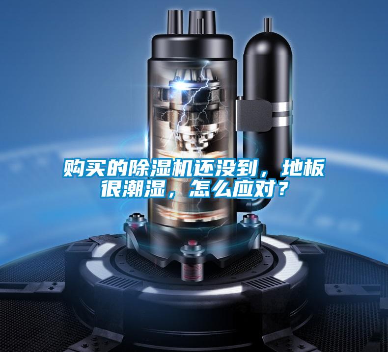 購買的除濕機(jī)還沒到，地板很潮濕，怎么應(yīng)對？