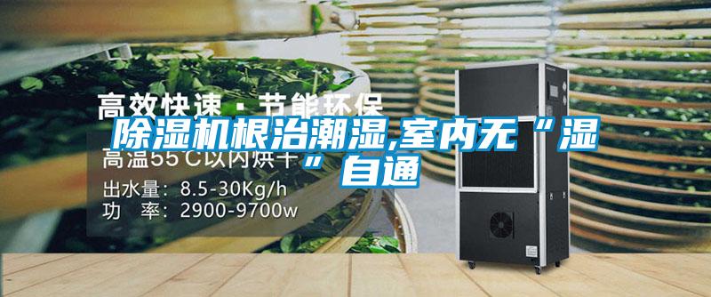 除濕機(jī)根治潮濕,室內(nèi)無“濕”自通