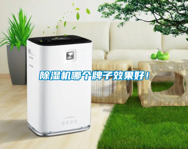 除濕機哪個牌子效果好！