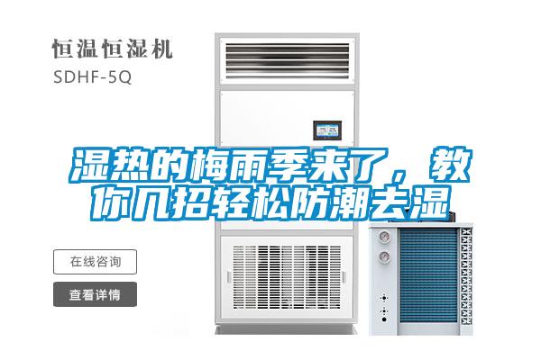 濕熱的梅雨季來了，教你幾招輕松防潮去濕