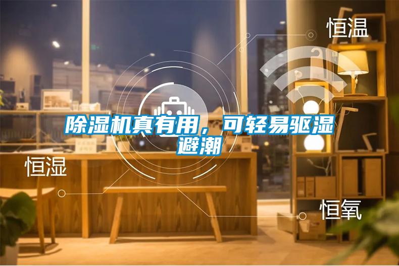 除濕機真有用，可輕易驅(qū)濕避潮