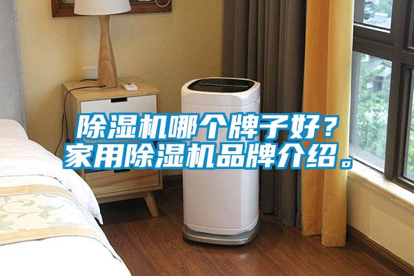 除濕機哪個牌子好？家用除濕機品牌介紹。