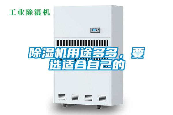 除濕機用途多多，要選適合自己的