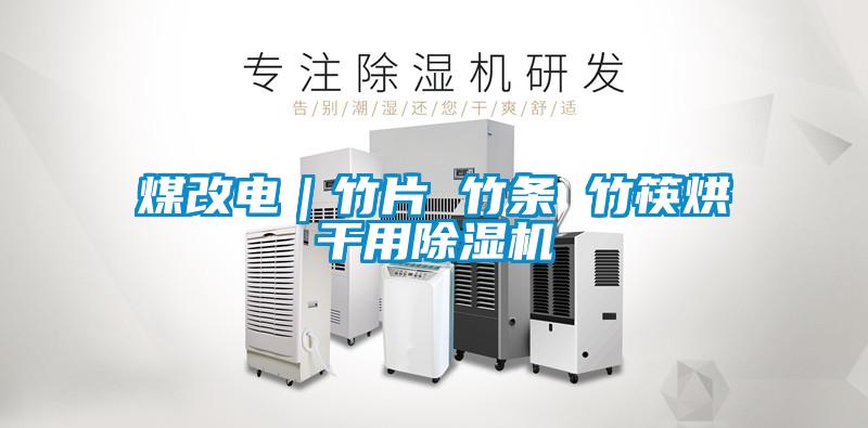 煤改電|竹片 竹條 竹筷烘干用除濕機