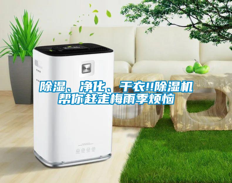 除濕、凈化、干衣!!除濕機(jī)幫你趕走梅雨季煩惱