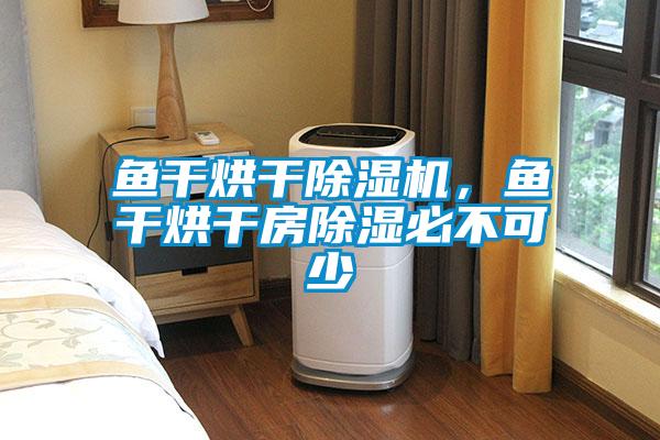 魚干烘干除濕機,魚干烘干房除濕必不可少