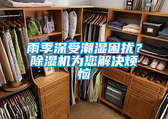 雨季深受潮濕困擾?除濕機(jī)為您解決煩惱