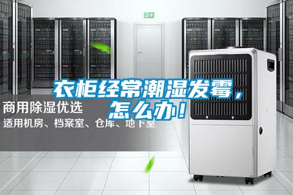 衣柜經(jīng)常潮濕發(fā)霉，怎么辦！