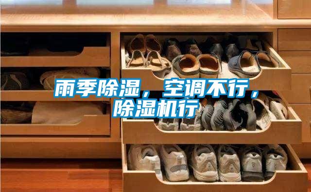 雨季除濕,空調(diào)不行,除濕機行