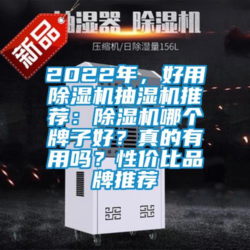 2022年，好用除濕機(jī)抽濕機(jī)推薦：除濕機(jī)哪個牌子好？真的有用嗎？性價比品牌推薦