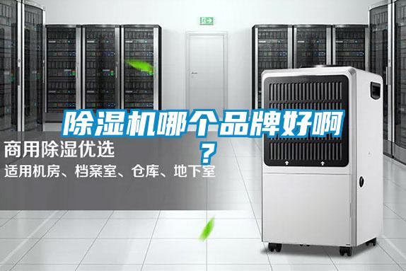 除濕機哪個品牌好?。?/></p>
						    <p style=