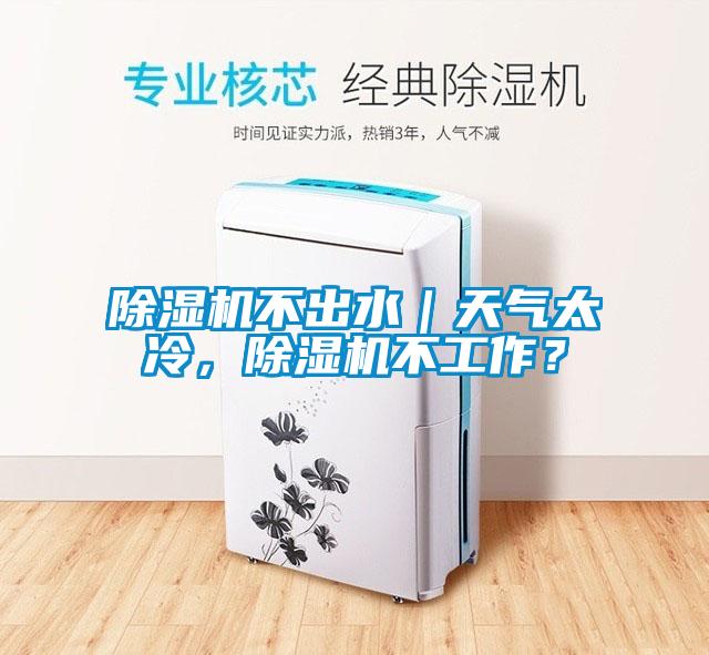 除濕機(jī)不出水｜天氣太冷，除濕機(jī)不工作？