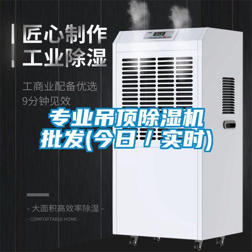 專(zhuān)業(yè)吊頂除濕機(jī)批發(fā)(今日／實(shí)時(shí))