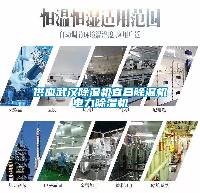 供應(yīng)武漢除濕機宜昌除濕機電力除濕機