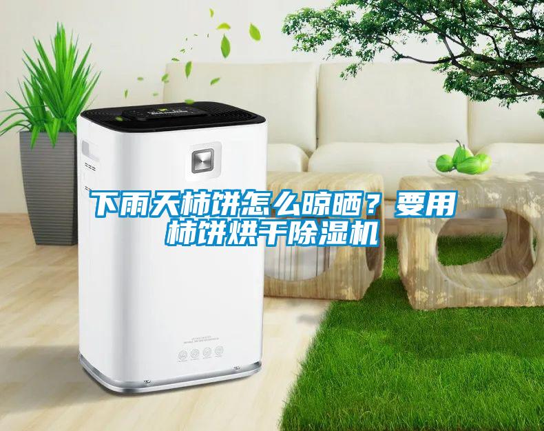 下雨天柿餅怎么晾曬？要用柿餅烘干除濕機