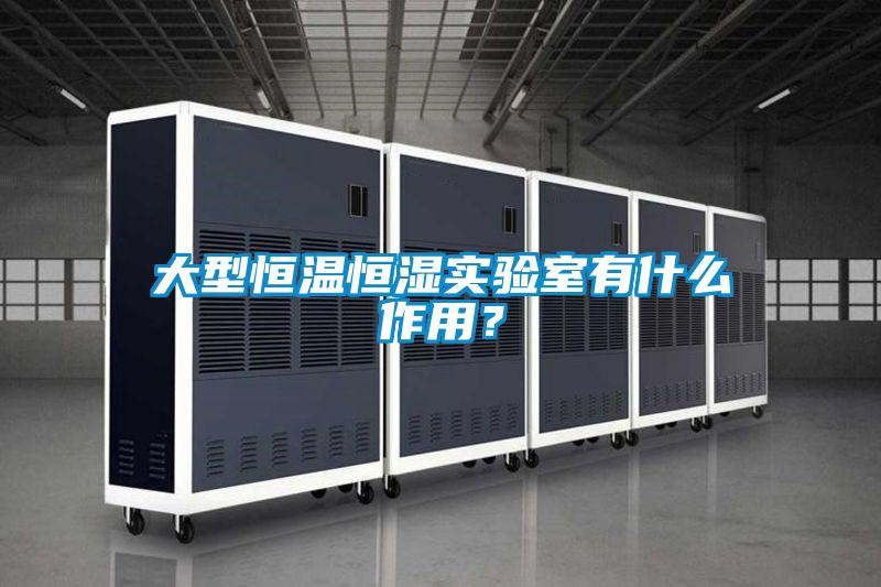 大型恒溫恒濕實驗室有什么作用?