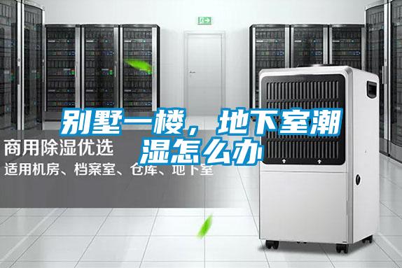 別墅一樓，地下室潮濕怎么辦
