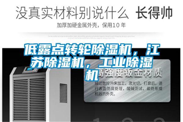低露點轉(zhuǎn)輪除濕機(jī)，江蘇除濕機(jī)，工業(yè)除濕機(jī)