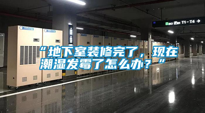 “地下室裝修完了,現(xiàn)在潮濕發(fā)霉了怎么辦?”