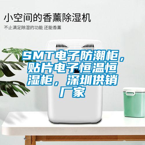 SMT電子防潮柜，貼片電子恒溫恒濕柜，深圳供銷廠家