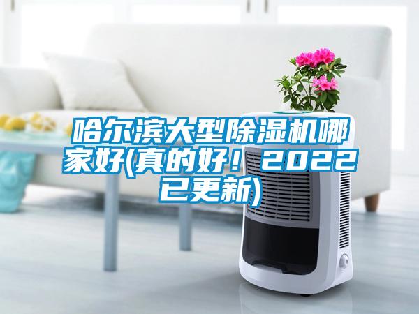 哈爾濱大型除濕機哪家好(真的好！2022已更新)