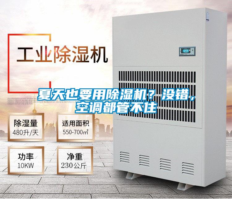 夏天也要用除濕機(jī)？沒錯，空調(diào)都管不住