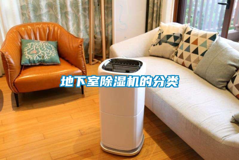地下室除濕機(jī)的分類(lèi)