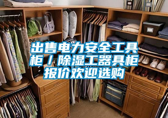 出售電力安全工具柜/除濕工器具柜報價歡迎選購