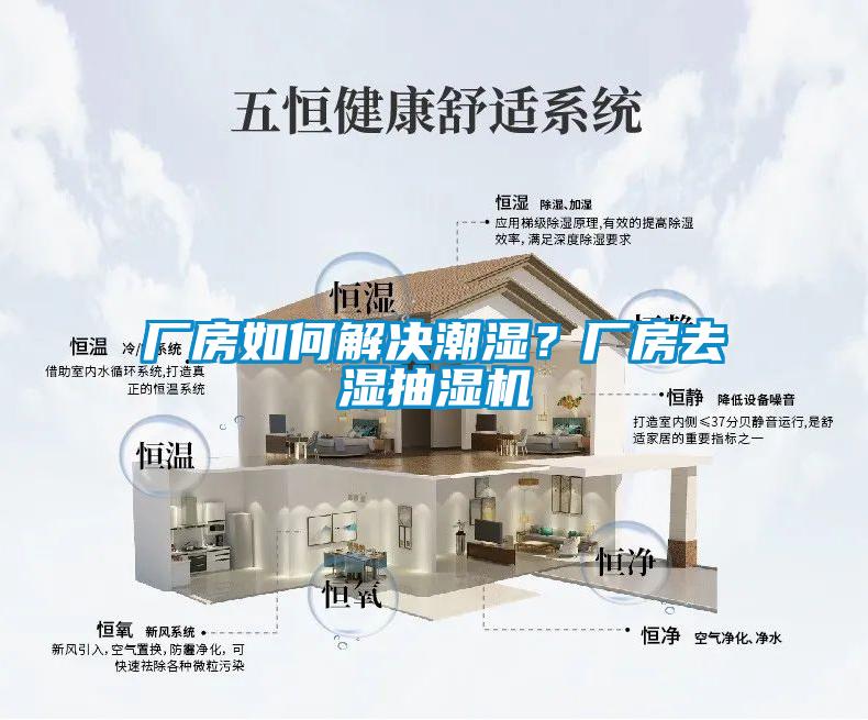 廠房如何解決潮濕？廠房去濕抽濕機