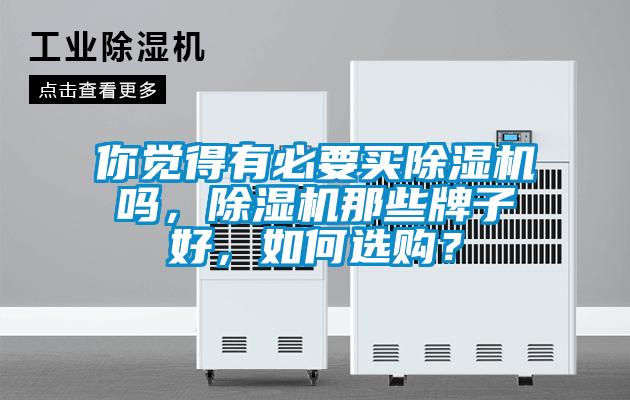 你覺得有必要買除濕機嗎，除濕機那些牌子好，如何選購？