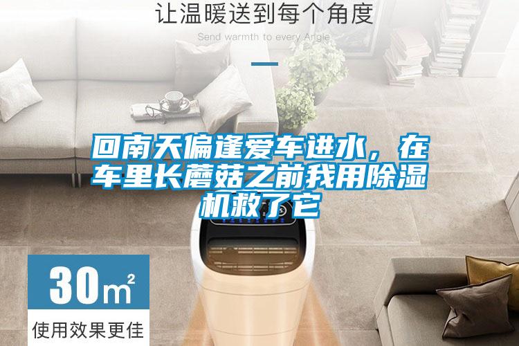 回南天偏逢愛車進(jìn)水，在車?yán)镩L蘑菇之前我用除濕機(jī)救了它