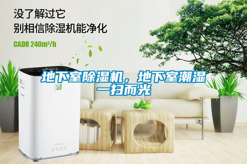 地下室除濕機(jī)，地下室潮濕一掃而光