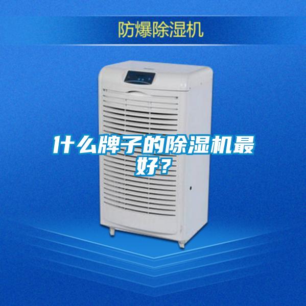 什么牌子的除濕機(jī)最好？