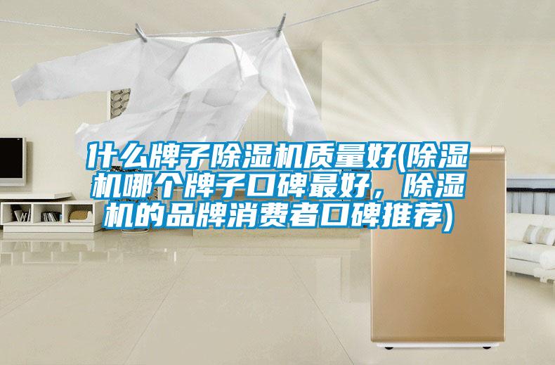 什么牌子除濕機(jī)質(zhì)量好(除濕機(jī)哪個牌子口碑最好，除濕機(jī)的品牌消費(fèi)者口碑推薦)