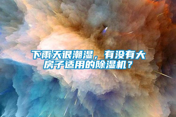 下雨天很潮濕，有沒有大房子適用的除濕機？