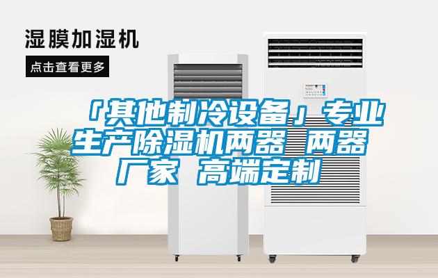 「其他制冷設(shè)備」專業(yè)生產(chǎn)除濕機兩器 兩器廠家 高端定制