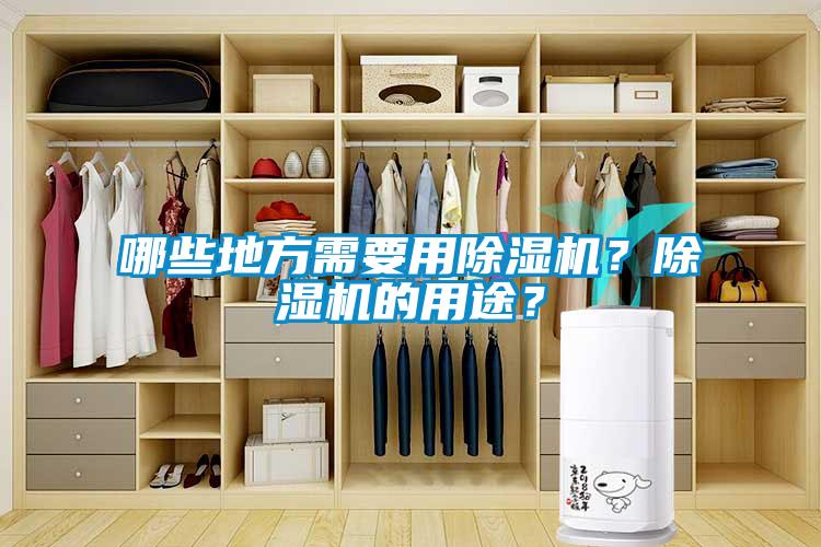 哪些地方需要用除濕機(jī)？除濕機(jī)的用途？