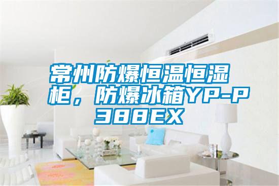 常州防爆恒溫恒濕柜，防爆冰箱YP-P388EX