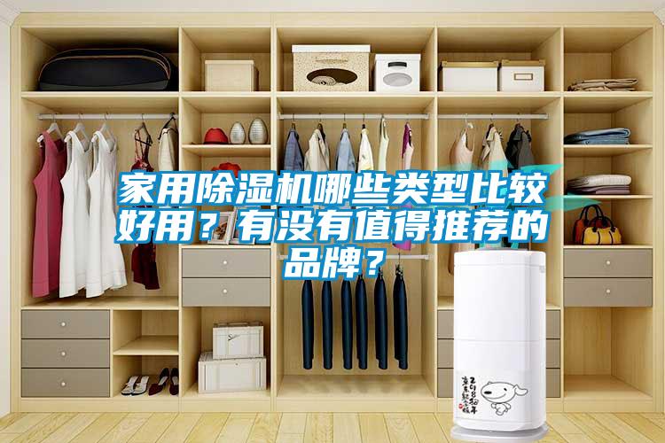 家用除濕機哪些類型比較好用？有沒有值得推薦的品牌？