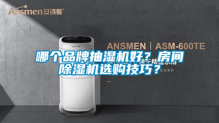 哪個(gè)品牌抽濕機(jī)好?房間除濕機(jī)選購(gòu)技巧?