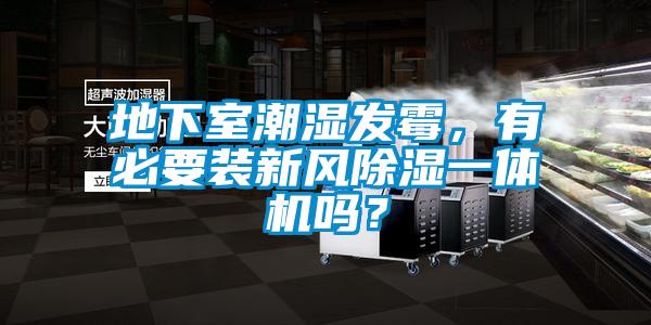 地下室潮濕發霉，有必要裝新風除濕一體機嗎？