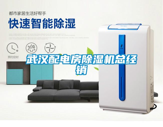 武漢配電房除濕機(jī)總經(jīng)銷(xiāo)