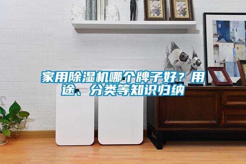 家用除濕機哪個牌子好？用途、分類等知識歸納