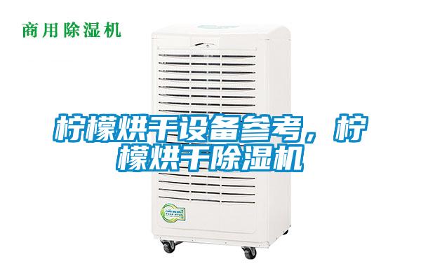 檸檬烘干設備參考，檸檬烘干除濕機