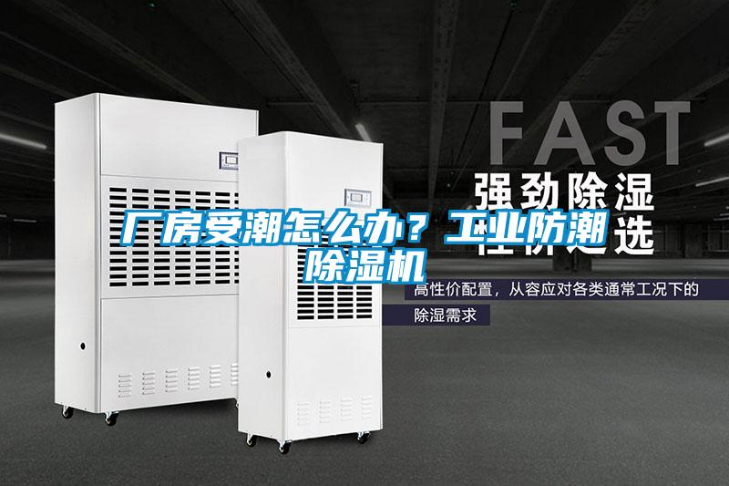 廠房受潮怎么辦?工業(yè)防潮除濕機